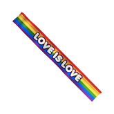 BANDA "LOVE IS LOVE"